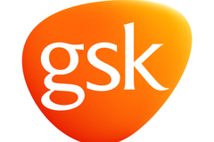 Glaxosmithkline - España (gsk)