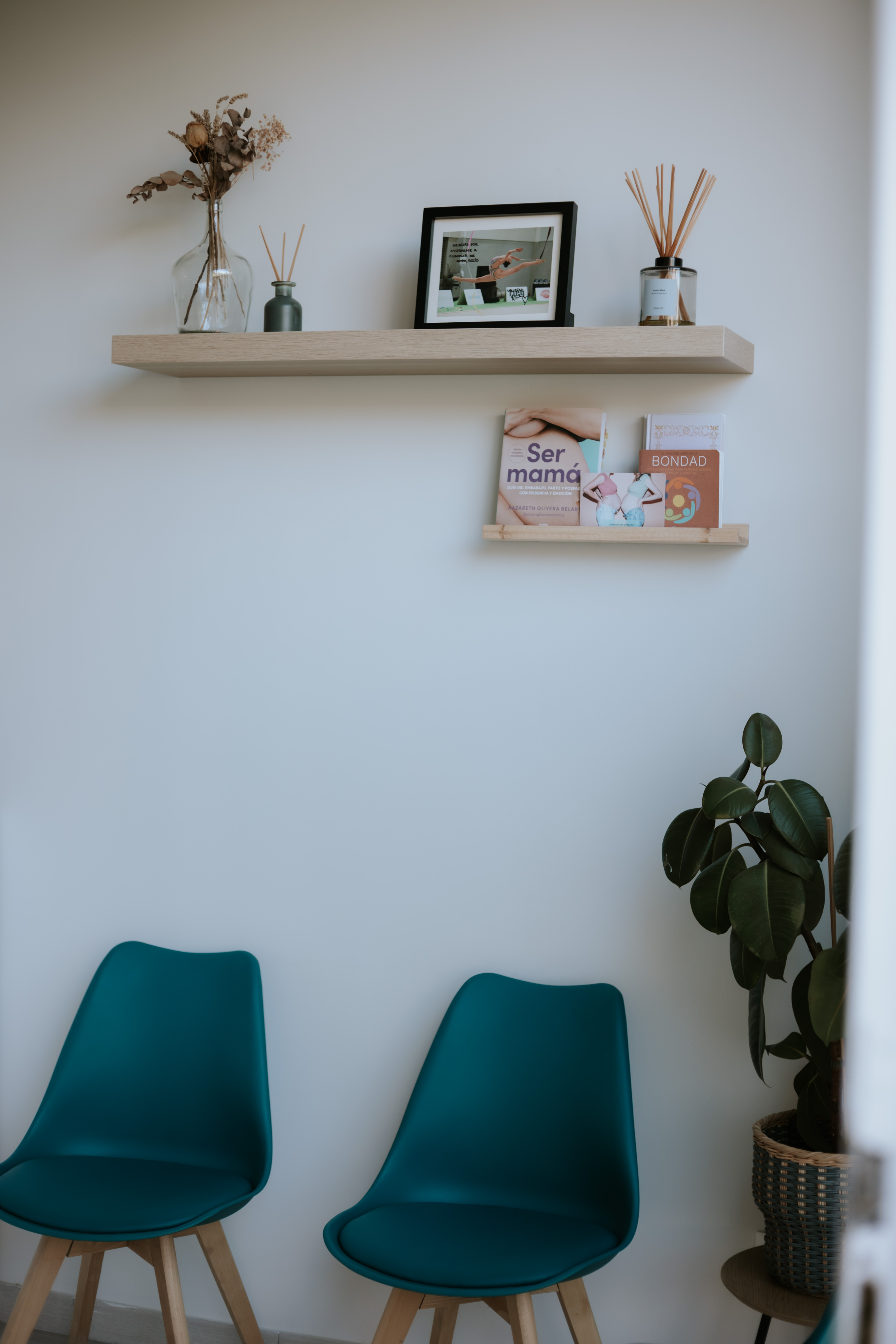 Bimove Fisioterapia y Salud de la Mujer