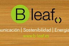B Leaf
