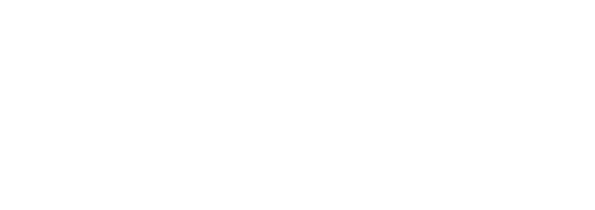 Navex Consulting