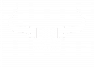 Bibi Burger